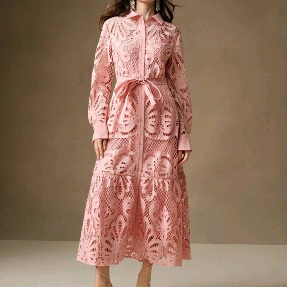 Women's Elegant Solid Color Lace Embroidered Button-Up Empire Waist Dress - Picture 3 of 4